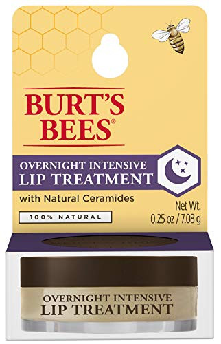 Burts Bees 100 Natural Overnight Intensive Lip Treatment Ultra-Conditioning Lip Care - 0_25 ounce