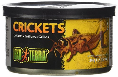 Exo Terra Specialty Reptile Food Canned Crickets for Reptiles PT1960
