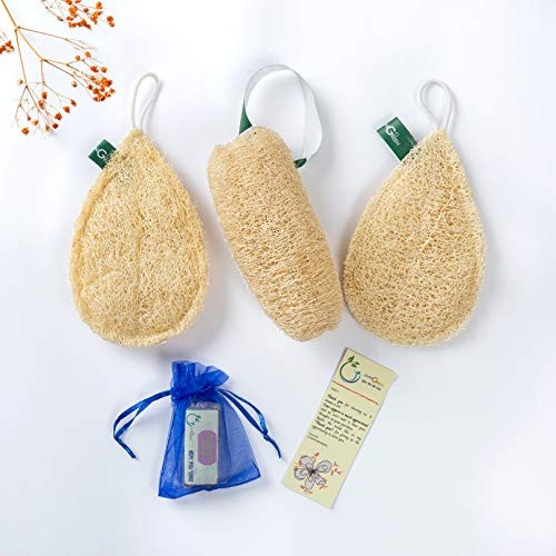 100 Natural Loofah Exfoliating Sponge 3 Pack - Shower Loofah - Premium Dead Skin Cell Remover - Body Wash Organic Loofah  Luffa Loofa Loufa Lufa