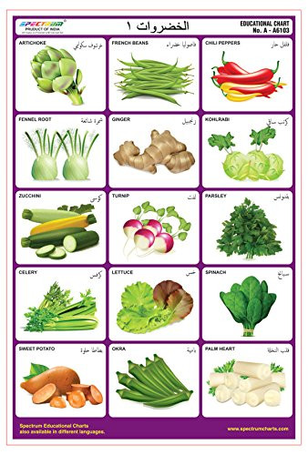 Spectrum Arabic Language Vegetables-1 Pre-Primary Kids Learning Laminated Wall Chart