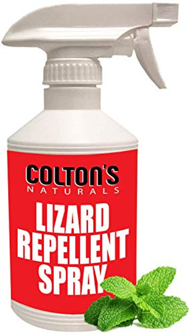 Lizard Repellent 32 OZ Spray 100 Natural Gecko Reptile Deterrent Outdoor or Indoor