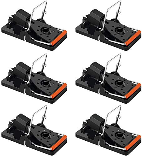 Trap A Pest Mouse Traps - Snap Traps for Mice Rodents and Pests Sanitary Safe Mousetraps That Work 6 Pack
