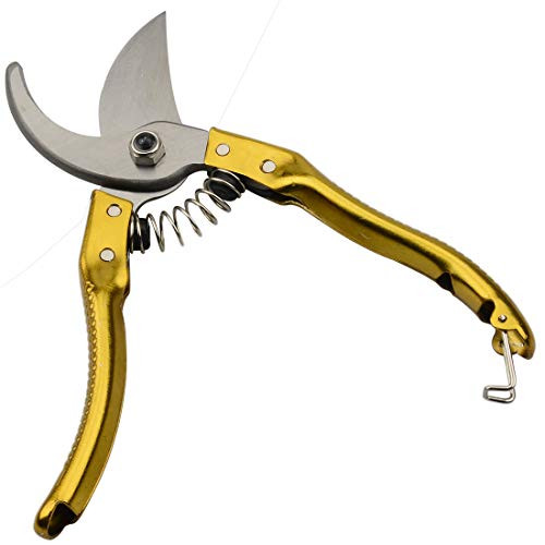 Zelin Professional Micro-tip Pruning Shears Garden Shears and Gardening Shears for Pruning Flowers Plants Vines and Aquatic Plants and harvesting Fruits and Vegetables