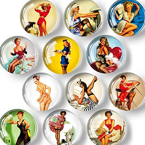 Cute Magnets for Fridge Funny Pinup  Glass Decorative Refrigerator Magnets  Succulent Locker Magnets  Fridge Magnets for Kitchen and Office  Magnets for Whiteboard