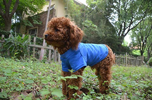 Lovelonglong 2019 Pet Clothing Dog Costumes Basic Blank T-Shirt Tee Shirts for Small Dogs Blue XS