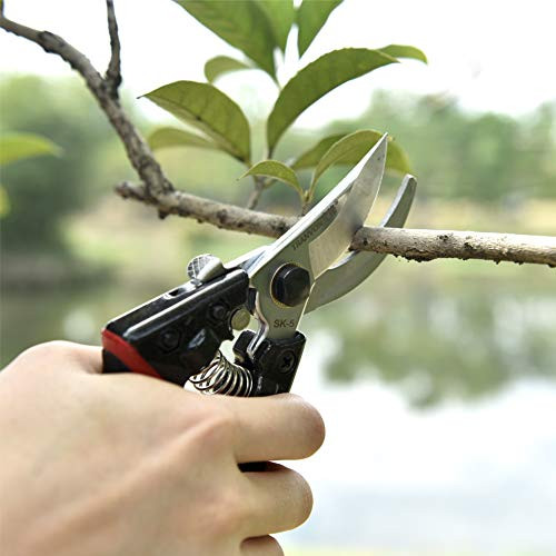 Professional Sharp Pruners Garden Pruners Tree Trimmers Secateurs Bypass Pruning Shears Secateurs Hand Pruner Garden Shears Gardening Shears Clippers for Plants Gardening Cutter black Professional Sharp Pruners Garden Pruners Tree Trimmers Secateurs Bypass Pruning Shears Secateurs Hand Pruner Garden Shears Gardening Shears Clippers for Plants Gardening Cutter black