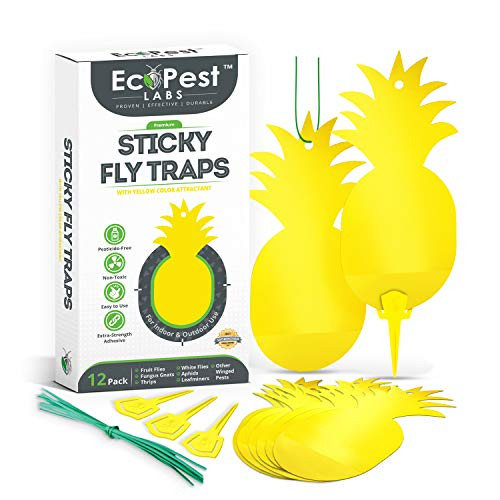 Sticky Fruit Fly and Gnat Traps 12 Pack Yellow Fly Paper Trap for House Plants and Gnat Sticky Traps for Fruit Flies Fungus Gnats and Other Flying Insects Indoor and Outdoor Fly Tape Sticky Fruit Fly and Gnat Traps 12 Pack Yellow Fly Paper Trap for House Plants and Gnat Sticky Traps for Fruit Flies Fungus Gnats and Other Flying Insects Indoor and Outdoor Fly Tape