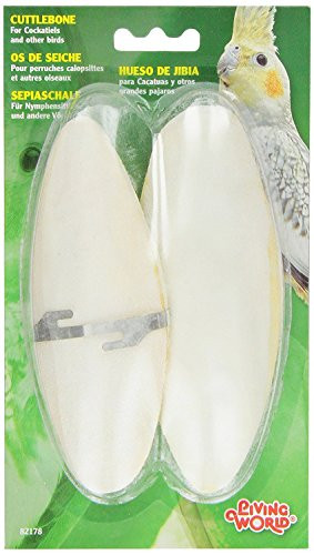 Living World Cuttlebone Large Twin Pack