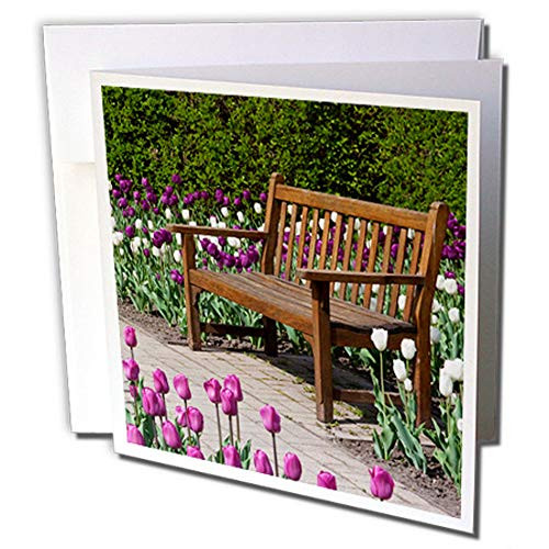 3dRose Bench On Garden Path Surrounded by Tulips - Greeting Cards 6 x 6 Set of 12 gc-251043-2