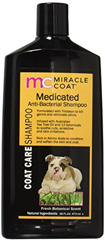 Miracle Coat Medicated Anti-Bacterial Dog Shampoo 16 oz_