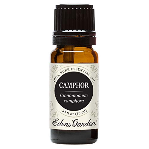 Edens Garden Camphor Essential Oil 100 Pure Therapeutic Grade Cold Flu and Congestion 10 ml Edens Garden Camphor Essential Oil 100 Pure Therapeutic Grade Cold Flu and Congestion 10 ml
