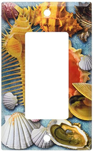 Art Plates - Shells Switch Plate - Single Rocker
