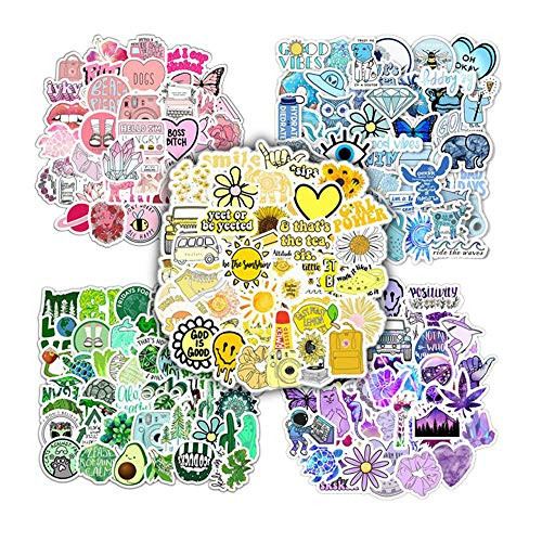 STORM GYRD VSCO Stickers for Hydro Flask 250 Pcs Hydroflask Stickers for Girls Kids Teens Trendy Aesthetic Cute VSCO Stickers for Water Bottles Laptop Phone Guitar Luggage Skateboard Yeti