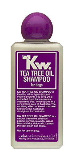KW Tea Tree Oil Shampoo for Dogs 6_5oz 200 ML