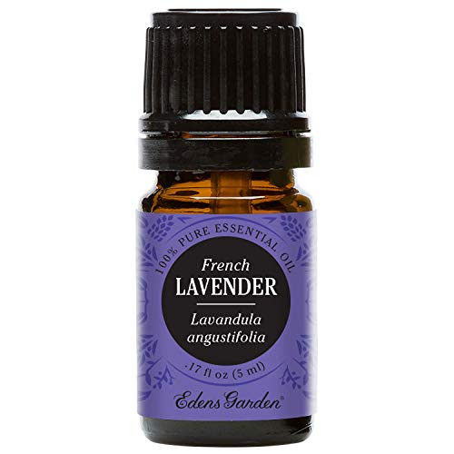 Edens Garden Lavender French Essential Oil 100 Pure Therapeutic Grade Inflammation and Pain 5 ml Edens Garden Lavender French Essential Oil 100 Pure Therapeutic Grade Inflammation and Pain 5 ml