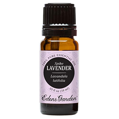 Edens Garden Lavender Spike Essential Oil 100 Pure Therapeutic Grade Congestion and Massage 10 ml Edens Garden Lavender Spike Essential Oil 100 Pure Therapeutic Grade Congestion and Massage 10 ml