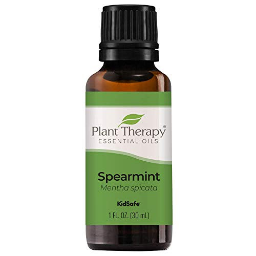 Plant Therapy Spearmint Essential Oil 30 mL 1 oz 100 Pure Undiluted Therapeutic Grade Plant Therapy Spearmint Essential Oil 30 mL 1 oz 100 Pure Undiluted Therapeutic Grade