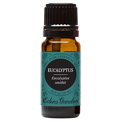 Edens Garden Eucalyptus Smithii Essential Oil 100 Pure Therapeutic Grade Congestion and Inflammation 10 ml Edens Garden Eucalyptus Smithii Essential Oil 100 Pure Therapeutic Grade Congestion and Inflammation 10 ml