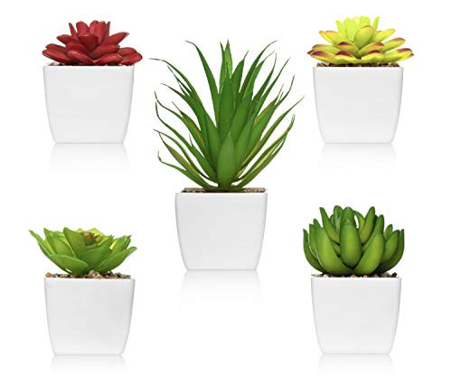 Healing Greenary 5pcs Fake Succulent Plants Artificial Potted Faux Plants Faux Desk Plant Small Fake Decorative Plants Fake Succulent Mini Potted Fake Succulents for Flower Arrangements Healing Greenary 5pcs Fake Succulent Plants Artificial Potted Faux Plants Faux Desk Plant Small Fake Decorative Plants Fake Succulent Mini Potted Fake Succulents for Flower Arrangements