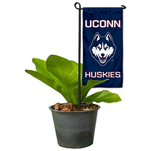 College Flags and Banners Co_ Connecticut Huskies Mini Garden and Flower Pot Flag Topper College Flags and Banners Co_ Connecticut Huskies Mini Garden and Flower Pot Flag Topper