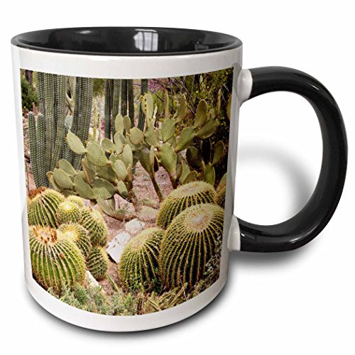 3dRose USA Arizona Tucson Botanical Gardens Cactus Species Two Tone Mug 11 oz Black