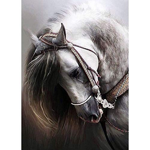 NEILDEN DIY 5D Diamond Painting Kits for Adults Full Drill Embroidery Paintings Rhinestone Pasted DIY Painting Cross Stitch Arts Crafts for Home Wall Decor 40x50cm15_7x19_6InchesHorse NEILDEN DIY 5D Diamond Painting Kits for Adults Full Drill Embroidery Paintings Rhinestone Pasted DIY Painting Cross Stitch Arts Crafts for Home Wall Decor 40x50cm15_7x19_6InchesHorse