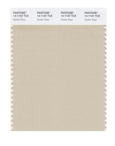 PANTONE SMART 14-1107X Color Swatch Card, Oyster Gray