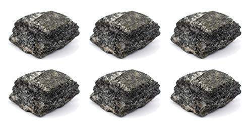 6PK Raw Biotite Gneiss Metamorphic Rock Specimens - Approx_ 1 - Geologist Selected  and  Hand Processed - Great for Science Classrooms - Class Pack - Eisco Labs