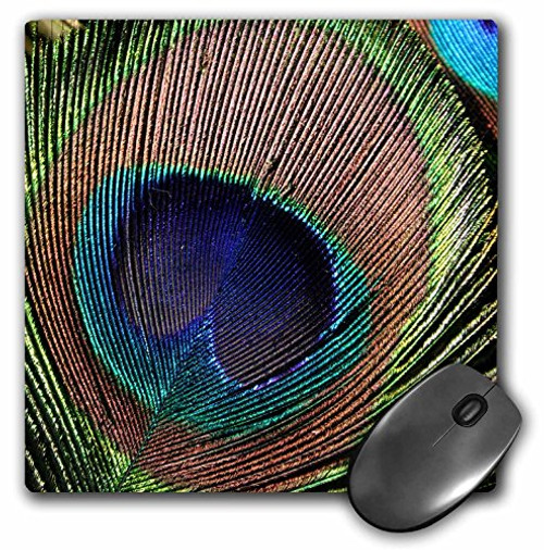 3dRose LLC 8 x 8 x 0.25 Inches Mouse Pad, Beautiful Peacock Feather Birds (mp_79317_1) 3dRose LLC 8 x 8 x 0.25 Inches Mouse Pad, Beautiful Peacock Feather Birds (mp_79317_1)