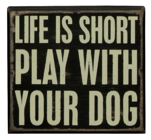 Primitives by Kathy Pet Décor Box Sign, Neutral