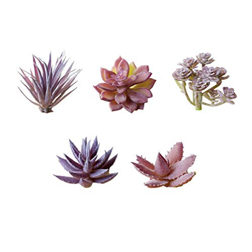 VOSAREA Artificial Succulents Plants Unpotted 5pcs Face Succulents Plants Mini Realistic Fake Succulents Plants Picks for DIY Home Garden Patio Unpotted Succulents Decoration VOSAREA Artificial Succulents Plants Unpotted 5pcs Face Succulents Plants Mini Realistic Fake Succulents Plants Picks for DIY Home Garden Patio Unpotted Succulents Decoration