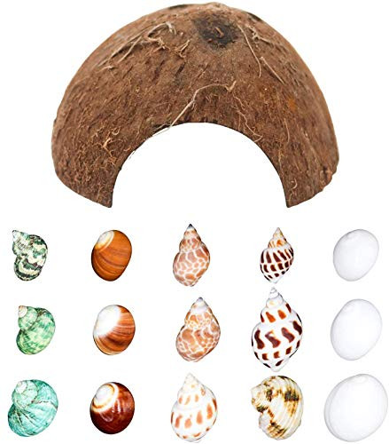 15Pcs Hermit Crab Shells Assorted Turbo Growth Shells  and  1Pcs Natural Coconut Hide Reptile Hideouts Handpicked Natural Sea Conch Seashell Opening Size 0_78-1_57 for Reptile Small Pets Home Decor