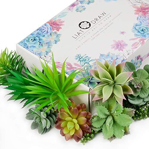 LIATODRAW Mini Artificial Succulents Plants Faux Succulent Fake Succulent - 9 Pcs Unpotted Faux Flocking Succulent Fake Plants for Home and Garden Arrangement Decoration