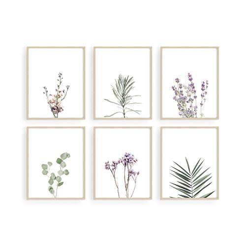 Floral Prints and Plant Posters - By Haus and Hues Set of 6 Botanical Prints and Floral Wall Art  Plant Prints  Plant Wall Art  Flower Wall Art  Plant Botanical Prints Set 8x10 UNFRAMED