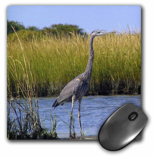 3dRose LLC 8 x 8 x 0.25 Inches Mouse Pad, Blue Heron (mp_3108_1) 3dRose LLC 8 x 8 x 0.25 Inches Mouse Pad, Blue Heron (mp_3108_1)