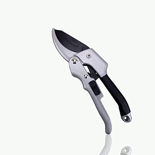 AKCEKDES Professional Pruning Shears Branch Scissors Garden Scissors Fruit Branch Pruner Garden Shears SK5 Carbon Steel Tree Branch Shears Flower Scissors Garden Pruning Tools???? AKCEKDES Professional Pruning Shears Branch Scissors Garden Scissors Fruit Branch Pruner Garden Shears SK5 Carbon Steel Tree Branch Shears Flower Scissors Garden Pruning Tools????