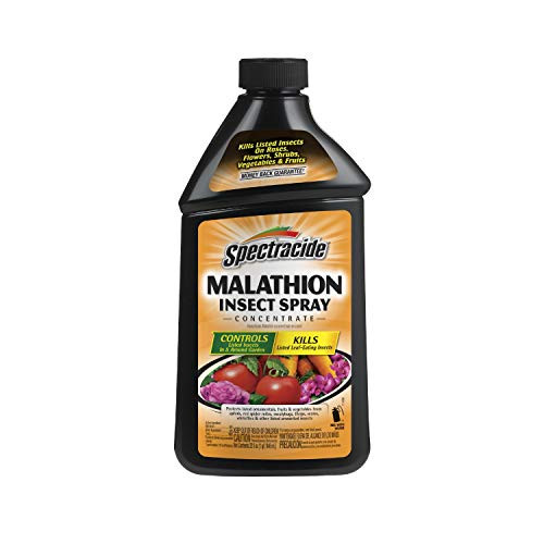 Spectracide HG-30900 Malathion Insect Killer 32-Fluid Ounce 32 oz BrownA Spectracide HG-30900 Malathion Insect Killer 32-Fluid Ounce 32 oz BrownA