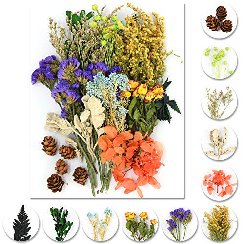 Vignee Real Dried Pressed Leaf Flowers-Multiple Colorful Pressed Flowers Daisies for Craft Resin Jewelry Making Art Craft DIY?VioletGreen?
