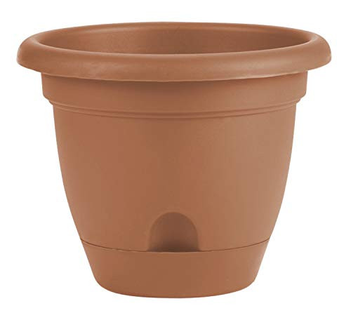 Bloem FBA LP1246 Lucca Planter 12-Inch Terra Cotta