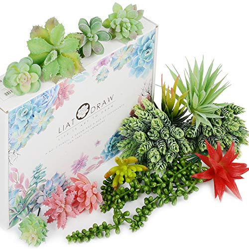 LIATODRAW Mini Artificial Succulents Plants Faux Succulent Fake Succulent - 14 Pcs Unpotted Fake Flocking Succulent Plants Faux Artificial Succulent Plant for Home and Garden Arrangement Decoration