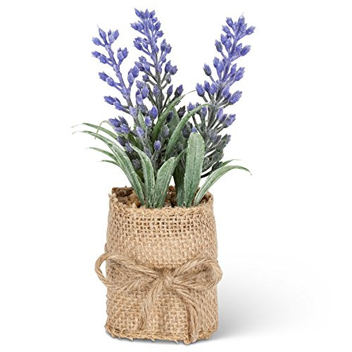 Abbott Collection 27-ESSENCE/218 Lavender in Burlap Wrap, Small
