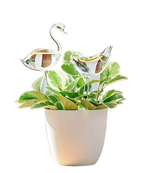 2 Pack Plant Waterer Bulbs Self Watering Globes Automatic Watering Stakes Bird Shape Design Hand Blown Clear Glass Plant Water Drippers Irrigation Devices for Indoor and Outdoor Plants Bird and Swan 2 Pack Plant Waterer Bulbs Self Watering Globes Automatic Watering Stakes Bird Shape Design Hand Blown Clear Glass Plant Water Drippers Irrigation Devices for Indoor and Outdoor Plants Bird and Swan