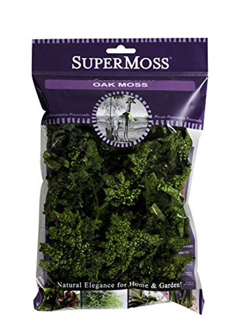 SuperMoss (23704) Oak Moss Preserved, Green, 2oz