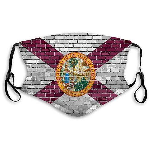 GIRDEAR Safety Shield Reusable Outdoor Covers Flag of Florida on a Brick Wall Comfortable Covers