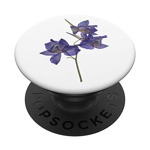 Pressed Garden Flower Blue Wildflower on White Background PopSockets Grip and Stand for Phones and Tablets
