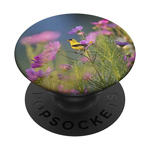 Bird Watchers Yellow Finch In The Garden PopSockets PopGrip Swappable Grip for Phones  and  Tablets
