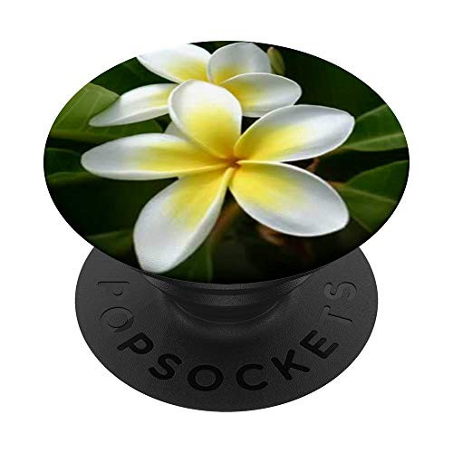 Plumeria Flower Pretty Garden Hawaii Pop Socket Phone Holder PopSockets PopGrip Swappable Grip for Phones  and  Tablets