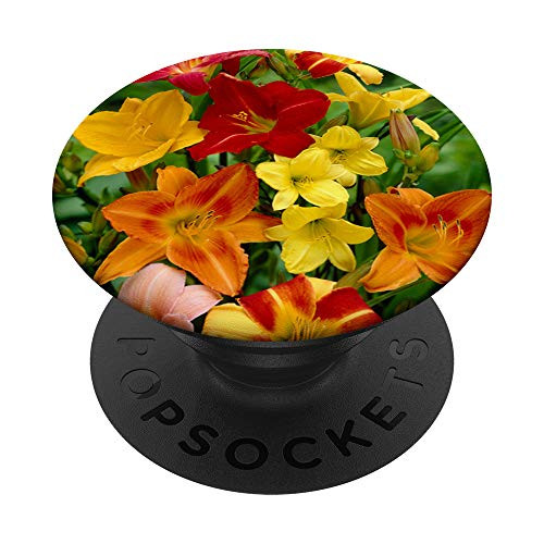 Daylilies Flowers Mixed Daylily In Garden Beautiful Flowers PopSockets PopGrip Swappable Grip for Phones  and  Tablets