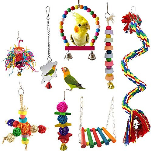 MQ 8 Pack Bird Parrot Toys Birds Swing Chewing Toys Hanging Bell Bird Cage Toys Suitable for Small Parakeets Cockatiels Conures Macaws Parrots Love Birds Mynah Finches ect MQ 8 Pack Bird Parrot Toys Birds Swing Chewing Toys Hanging Bell Bird Cage Toys Suitable for Small Parakeets Cockatiels Conures Macaws Parrots Love Birds Mynah Finches ect