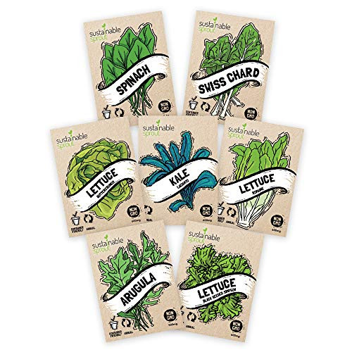 Salad Greens Seeds Kit - 100 Non GMO Leaf Lettuce Bibb Lettuce Romaine Lettuce Kale Arugula Spinach Swiss Chard_ Leafy Greens for Planting in Your Organic Vegetable Garden Salad Greens Seeds Kit - 100 Non GMO Leaf Lettuce Bibb Lettuce Romaine Lettuce Kale Arugula Spinach Swiss Chard_ Leafy Greens for Planting in Your Organic Vegetable Garden